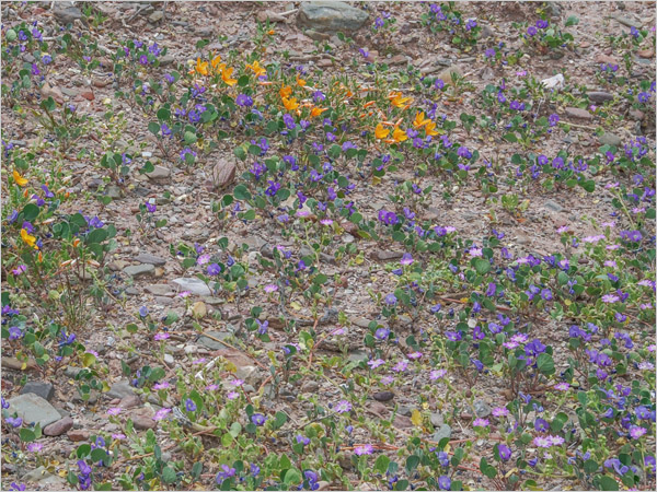 Download 1920 x 1200 Pixel