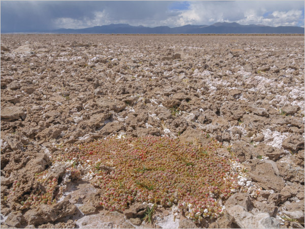Download 1920x1200 Pixel